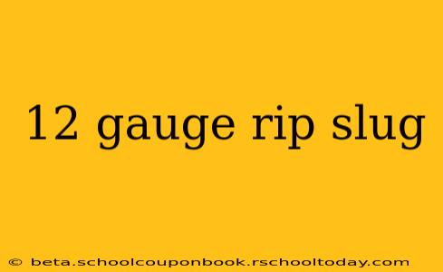 12 gauge rip slug