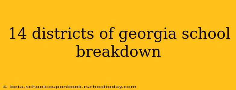 14 districts of georgia school breakdown