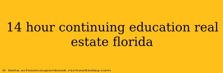 14 hour continuing education real estate florida