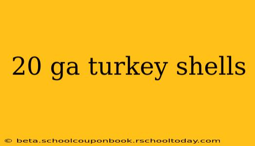 20 ga turkey shells
