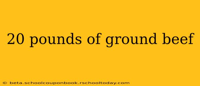 20 pounds of ground beef
