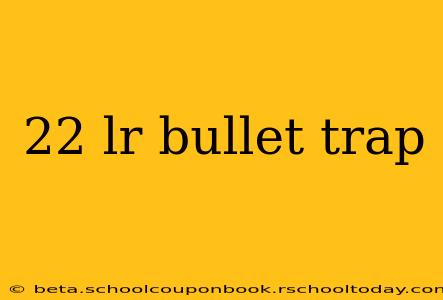22 lr bullet trap