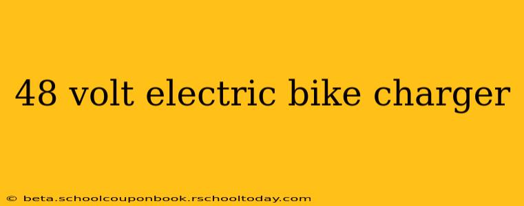 48 volt electric bike charger