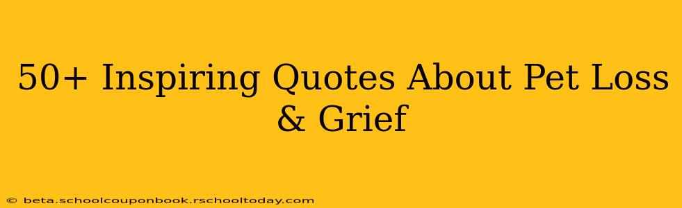 50+ Inspiring Quotes About Pet Loss & Grief