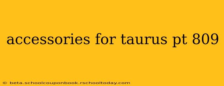 accessories for taurus pt 809