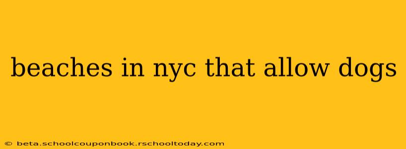 beaches in nyc that allow dogs