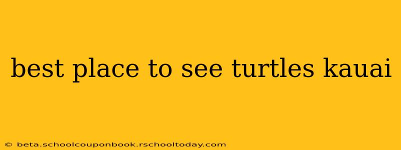 best place to see turtles kauai
