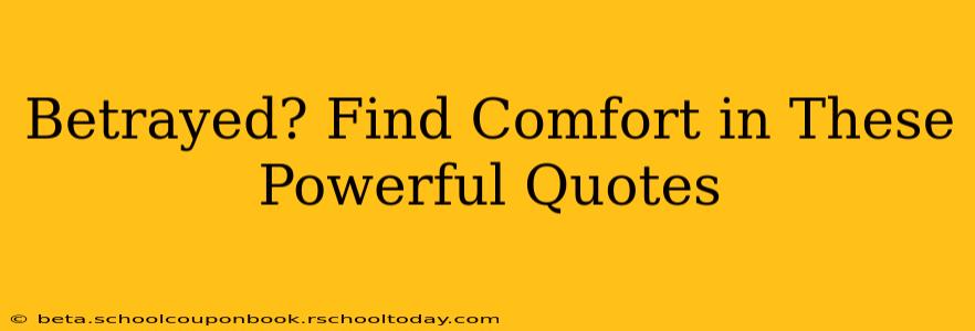 Betrayed? Find Comfort in These Powerful Quotes