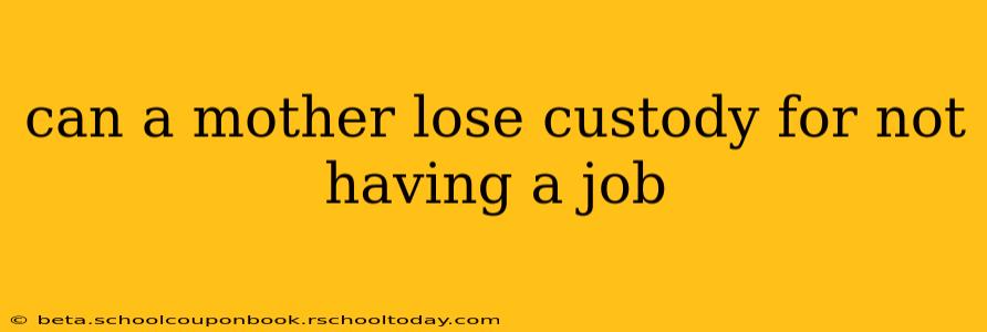 can a mother lose custody for not having a job