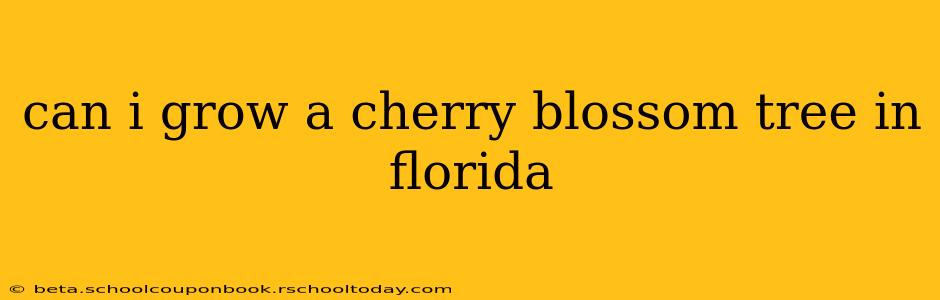 can i grow a cherry blossom tree in florida