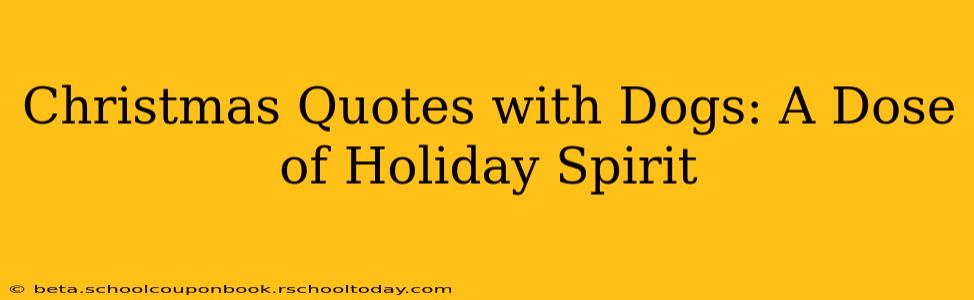 Christmas Quotes with Dogs: A Dose of Holiday Spirit