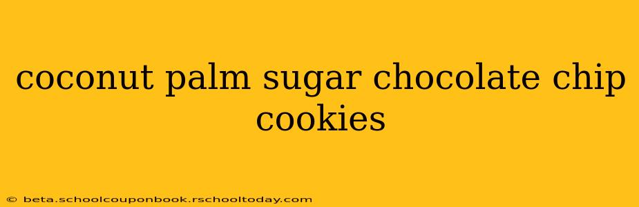 coconut palm sugar chocolate chip cookies