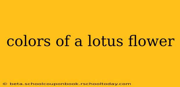 colors of a lotus flower