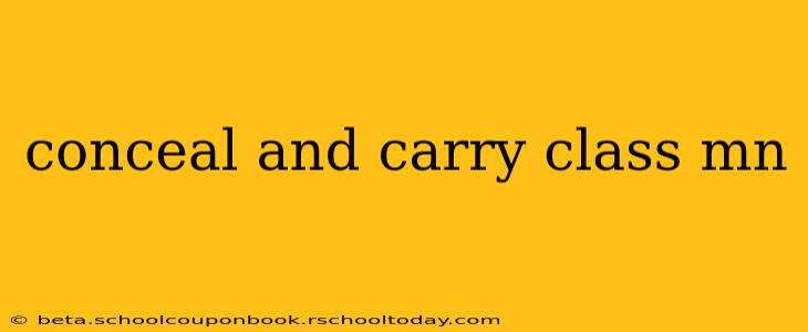 conceal and carry class mn