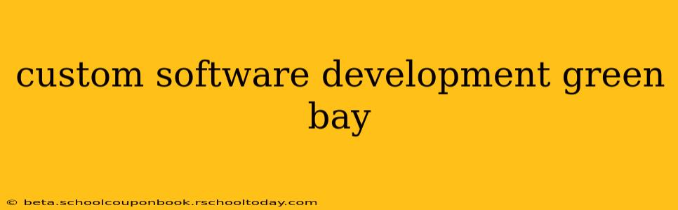 custom software development green bay