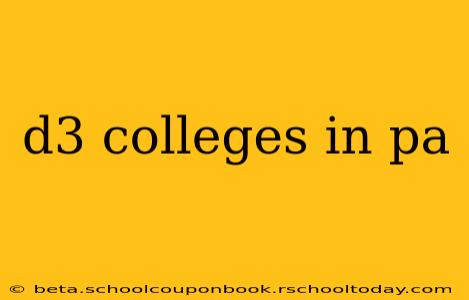 d3 colleges in pa