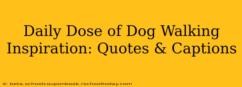 Daily Dose of Dog Walking Inspiration: Quotes & Captions
