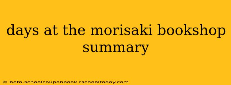 days at the morisaki bookshop summary