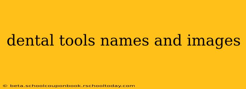 dental tools names and images