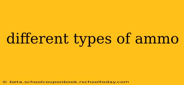 different types of ammo