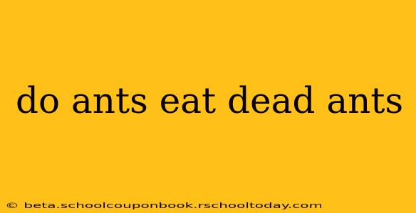 do ants eat dead ants