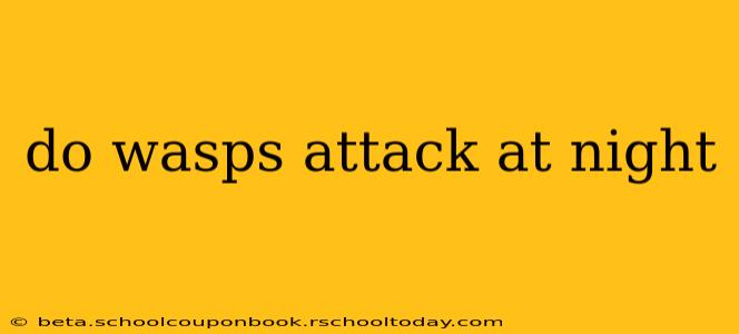 do wasps attack at night