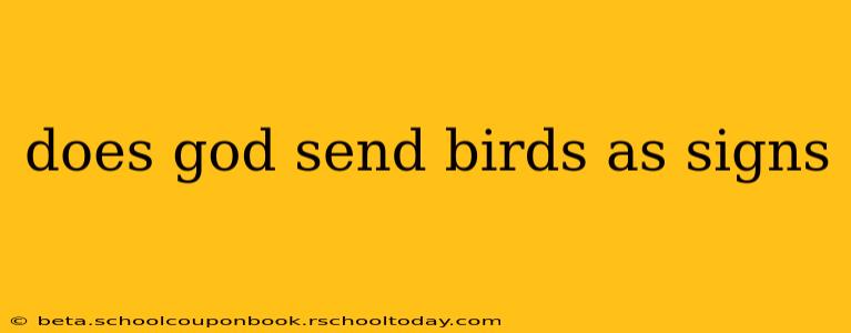 does god send birds as signs