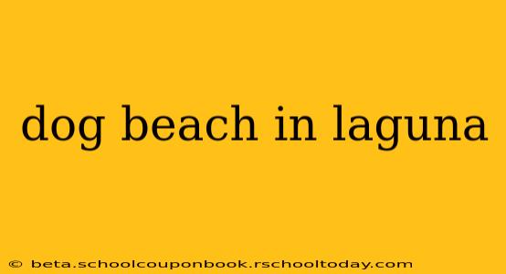 dog beach in laguna