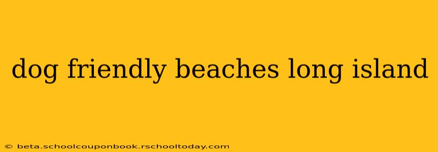 dog friendly beaches long island