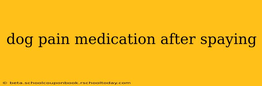 dog pain medication after spaying