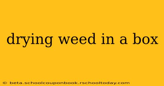 drying weed in a box
