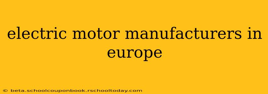 electric motor manufacturers in europe
