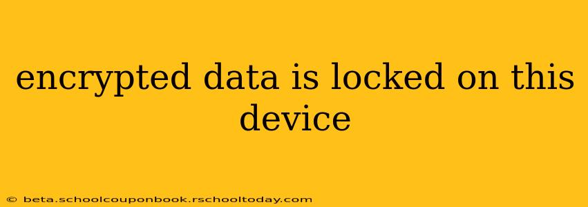 encrypted data is locked on this device