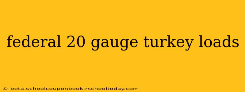 federal 20 gauge turkey loads