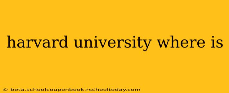 harvard university where is