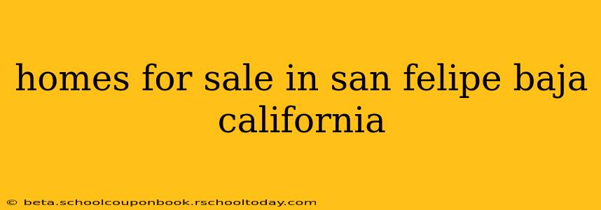 homes for sale in san felipe baja california