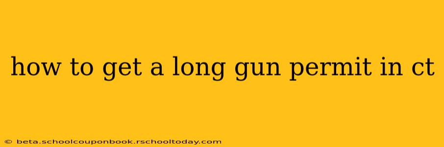 how to get a long gun permit in ct