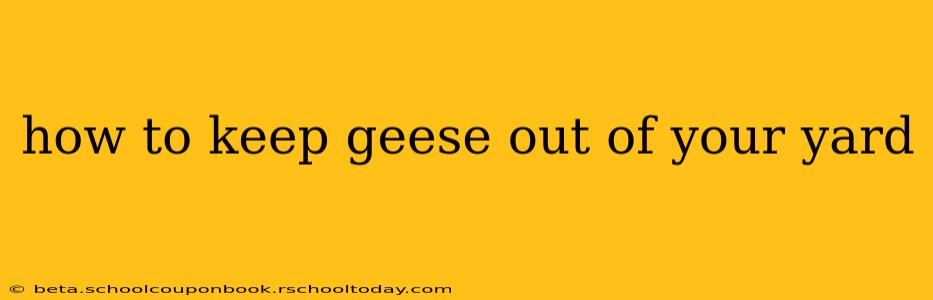 how to keep geese out of your yard