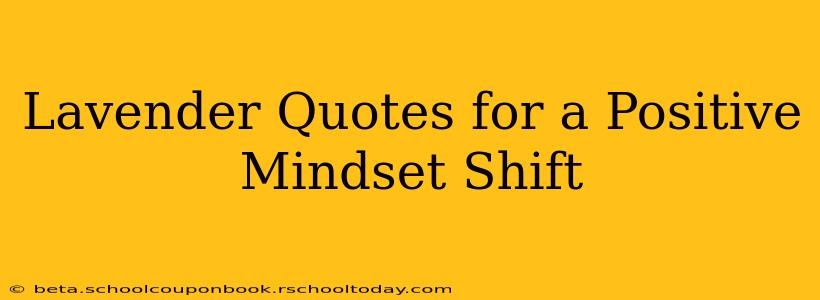 Lavender Quotes for a Positive Mindset Shift