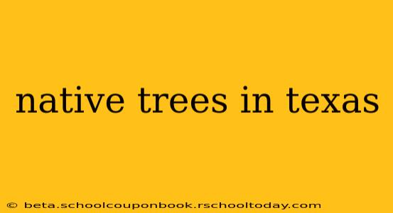 native trees in texas