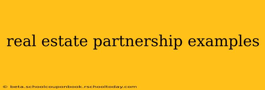 real estate partnership examples