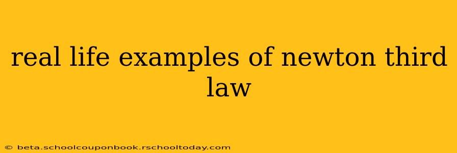real life examples of newton third law