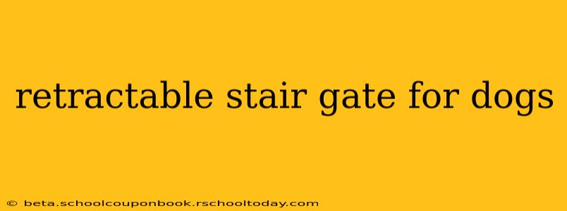 retractable stair gate for dogs