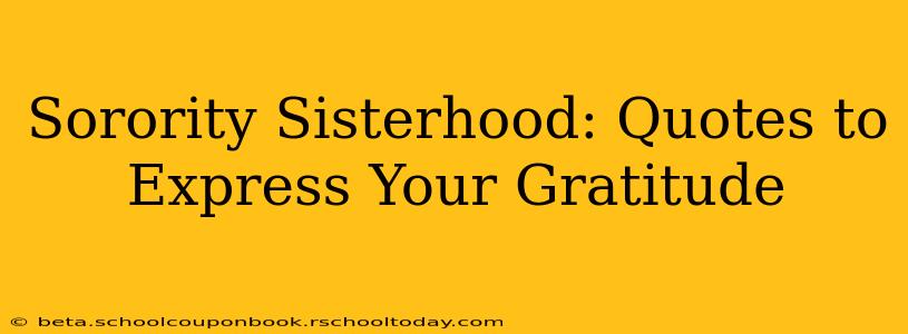 Sorority Sisterhood: Quotes to Express Your Gratitude