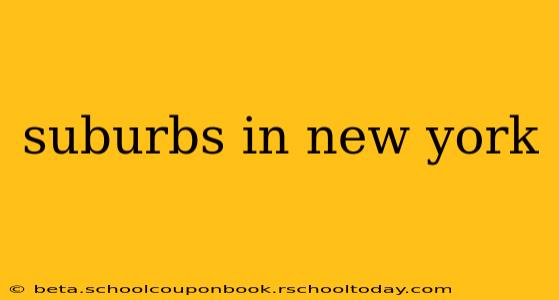 suburbs in new york