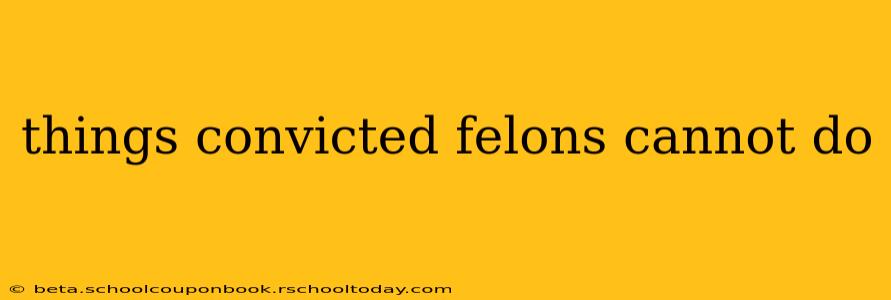 things convicted felons cannot do