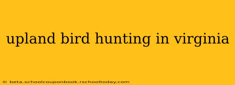 upland bird hunting in virginia