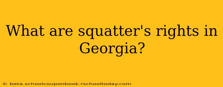 What are squatter's rights in Georgia?