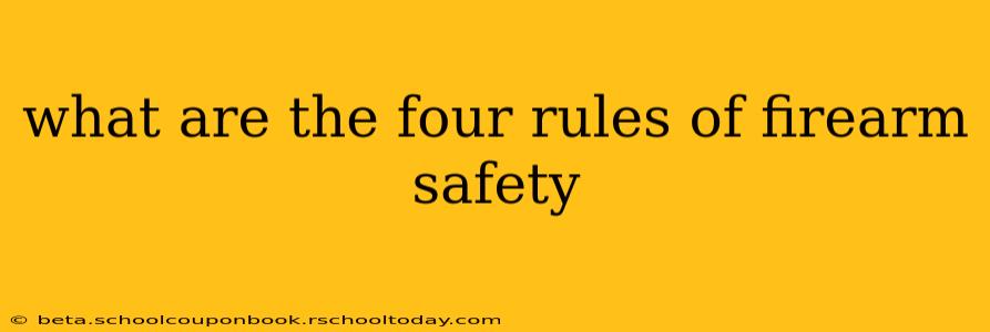 what are the four rules of firearm safety