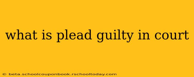 what is plead guilty in court